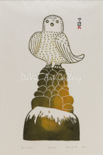 'Owl on Cairn' by Pauta Saila